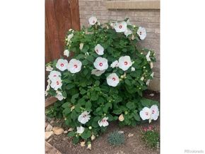 4945 Tesla Circle, Boulder CO 80301