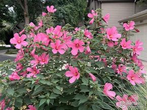 4945 Tesla Circle, Boulder CO 80301