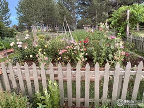 8726 Crimson Clover Lane, Longmont CO 80503