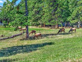 24386 Currant Drive, Golden CO 80401