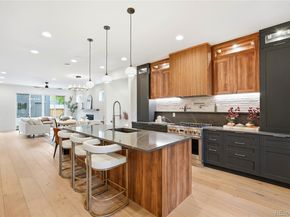 243 S Emerson Street, Denver CO 80209