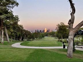 923  Leatrice Drive , Dallas Texas 75208