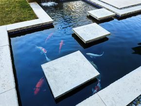 6301  Theresa Lane , Colleyville Texas 76034