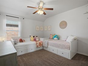 10036  Long Branch Drive , McKinney Texas 75071