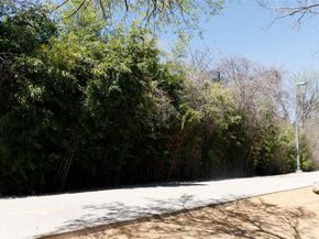 4044  Buena Vista   104, Dallas Texas 75204