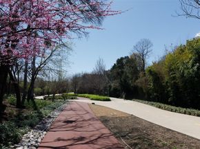 4044  Buena Vista   104, Dallas Texas 75204