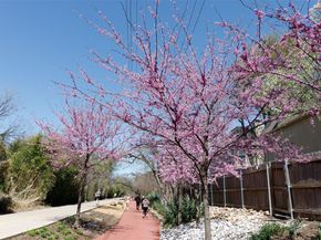 4044  Buena Vista   104, Dallas Texas 75204