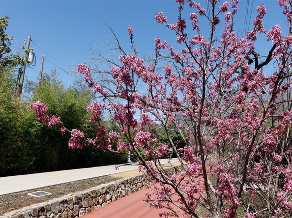 4044  Buena Vista   104, Dallas Texas 75204