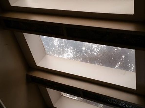 7604  Village Trail Drive , Dallas Texas 75254