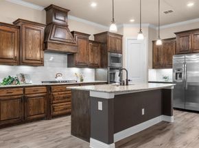 10357  Colgate Court , Frisco Texas 75035