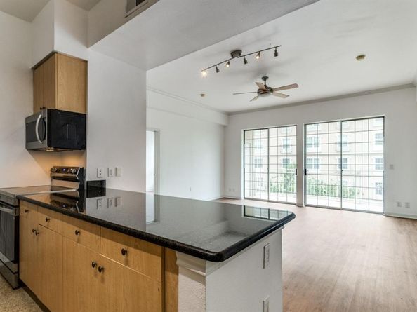 3225  Turtle Creek Boulevard  446, Dallas Texas 75219
