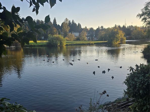 4123 SW 322nd Street, Federal Way WA 98023