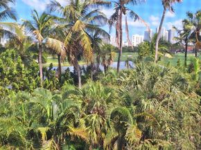 700 NE 14th Ave 407, Hallandale Beach FL 33009