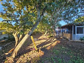 9940 SW 162nd St, Miami FL 33157