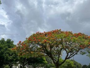 3507 Oaks Way 804, Pompano Beach FL 33069