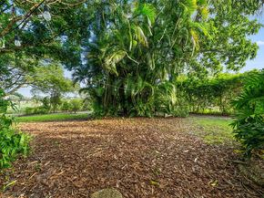 393 Minola Dr, Miami Springs FL 33166