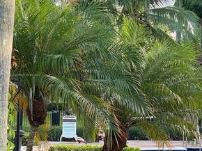 4848 N State Road 7 4305, Coconut Creek FL 33073