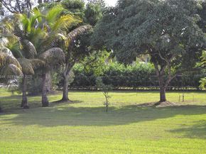 5425 SW 190th Ave, Southwest Ranches FL 33332