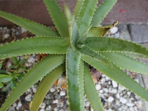 10722 La Placida Dr 9B2, Coral Springs FL 33065