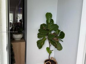 5280 SW 92nd Ter, Cooper City FL 33328