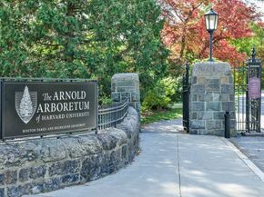 1 Catenaccia Way 47, Boston MA 02130