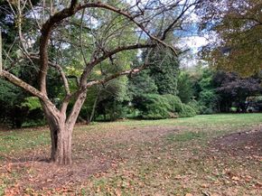 3 Glenoe Rd, Brookline MA 02467