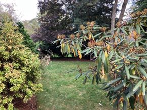 3 Glenoe Rd, Brookline MA 02467