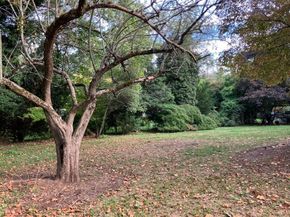 3 Glenoe Rd, Brookline MA 02467
