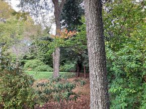 3 Glenoe Rd, Brookline MA 02467