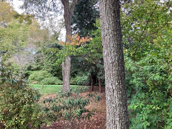 3 Glenoe Rd, Brookline MA 02467