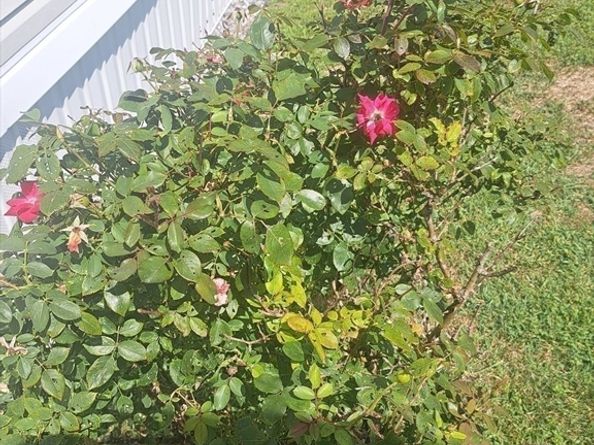 289 Richards Ave, Paxton MA 01612