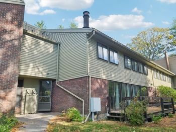 237 Brown Bear Crossing