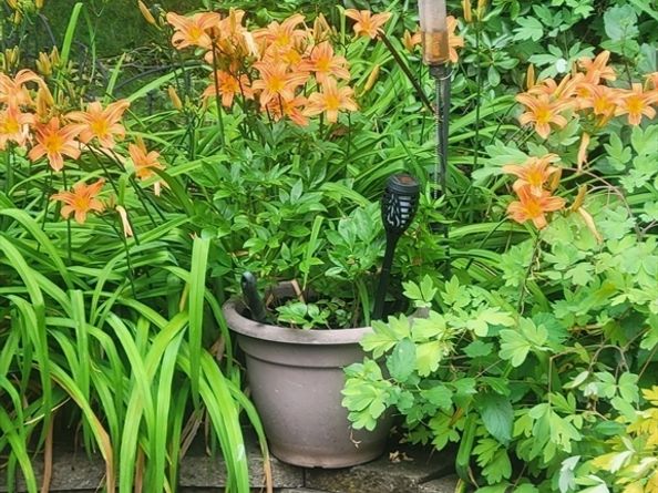 4 Laurel Street, Woburn MA 01801