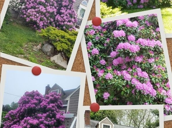 4 Laurel Street, Woburn MA 01801