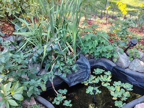 4 Laurel Street, Woburn MA 01801