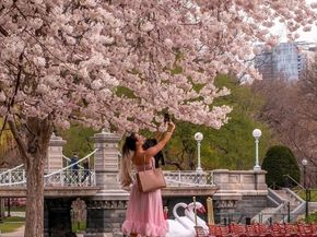 15 River 507, Boston MA 02108