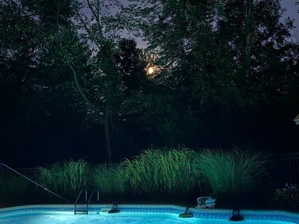 45 Ireta Rd, Shrewsbury MA 01545