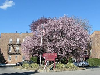 30 DAVENPORT Avenue