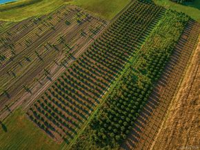 34600, 34750 & 34920 Route 25, Orient NY 11957