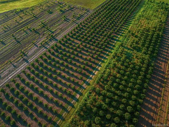 34600, 34750 & 34920 Route 25, Orient NY 11957