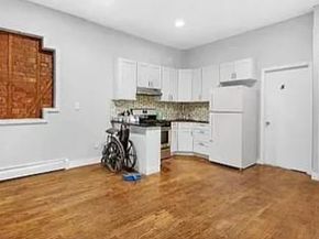 166 Atkins Avenue, Brooklyn NY 11208