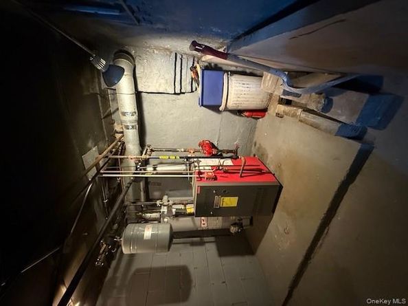 49 Buffalo Avenue, Brooklyn NY 11233