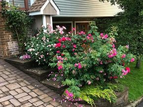 28 Jane Street, Roslyn Heights NY 11577