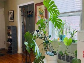 69-11 138th Street 3B, Flushing NY 11367