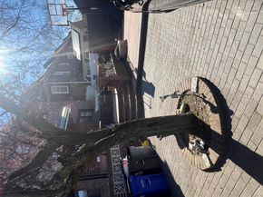 19519 45th Avenue, Flushing NY 11358