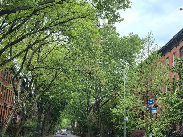 185 Bergen Street, Brooklyn NY 11217