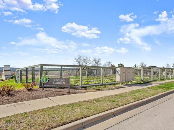 17202 Adoro DR, Manor TX 78653
