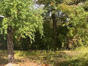 2006 Wheless LN, Austin TX 78723