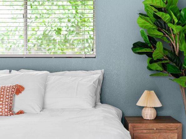 2320 Montclaire ST, Austin TX 78704