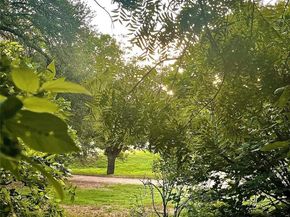 12319 N Double Tree LN, Austin TX 78750